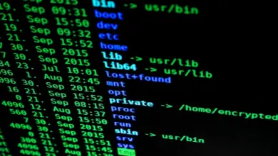 Cybersecurity: Safety Towards Cyber Assaults