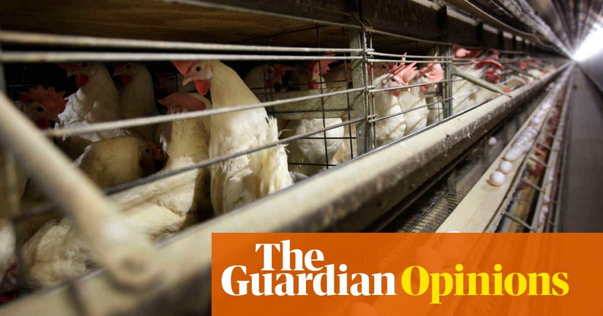 How will the bird flu affect the Trump presidency? | Katrina vanden Heuvel - Today news