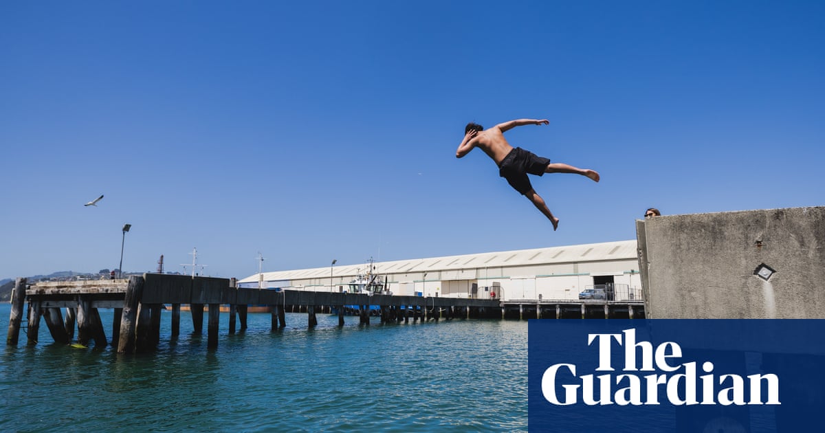 Popping a manu: New Zealand’s distinctive water leaping obsession | New Zealand