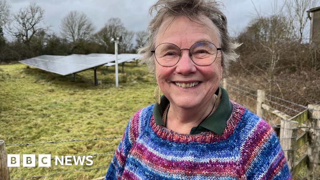 'Effectively-connected folks making an attempt to cease photo voltaic park being constructed'