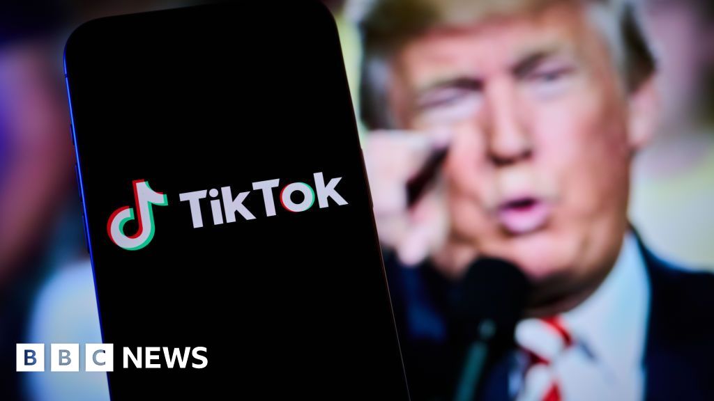 TikTok restoring companies in US after Trump pledge