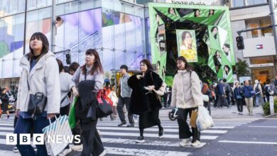 Financial institution of Japan raises charges to highest in 17 years