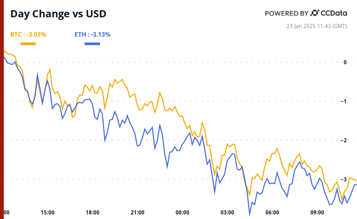 Retail Demand for BTC Gives Agency Underpinning in Weaker Crypto Market