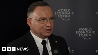 Poland warns in opposition to restarting Russia gasoline provides