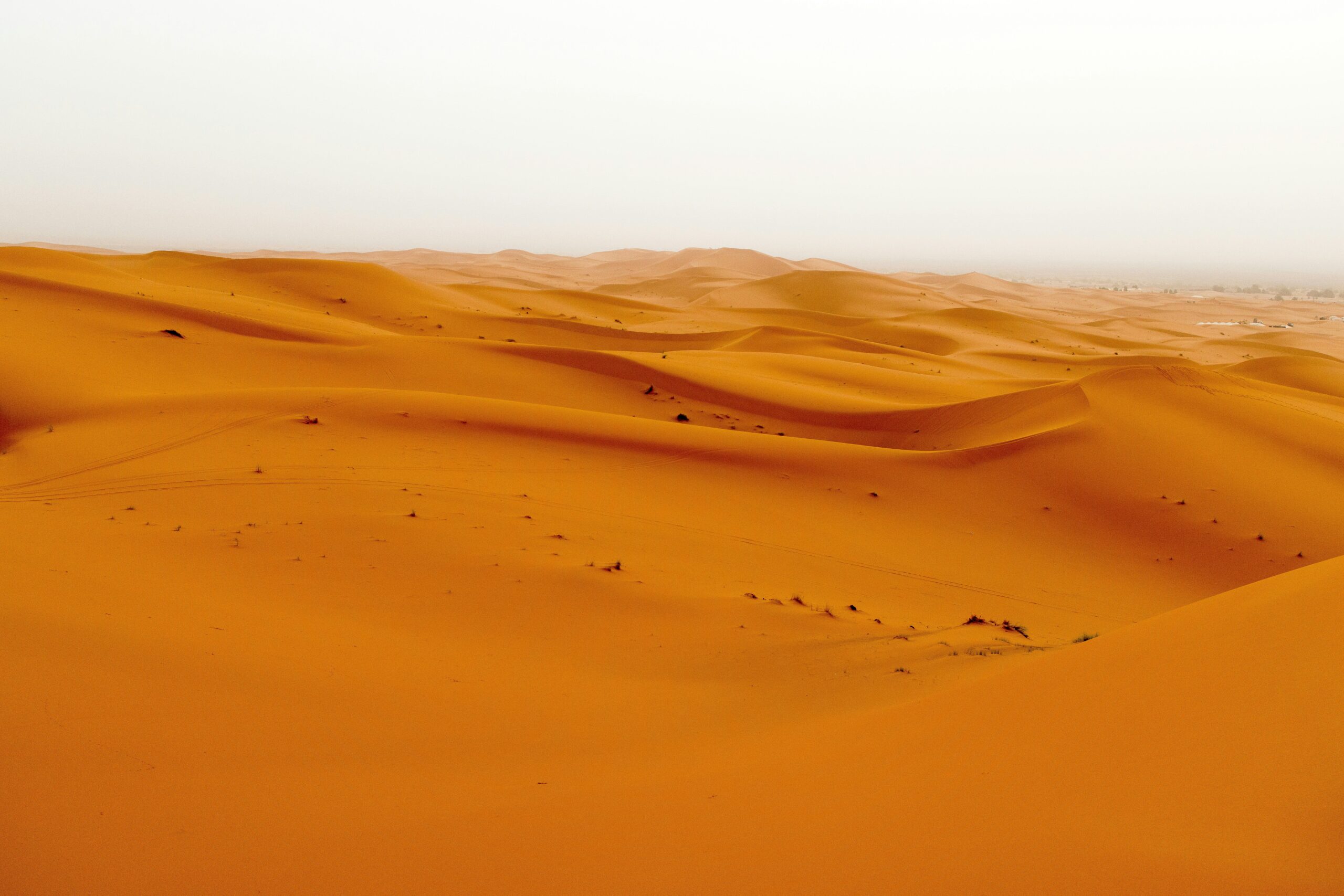 Sandboxes Are a Way Out of the Regulatory Sandstorm - Today news