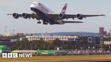 Heathrow and Gatwick airport may broaden underneath plans