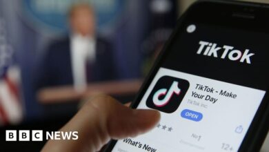 TikTok ban more likely to unfold to US allies