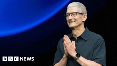 Apple shareholders reject proposal to end DEI programmes - Today news