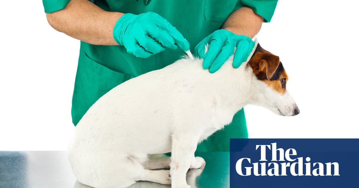 Flea treatments for pets that are fatal for birds | Letters - Today news