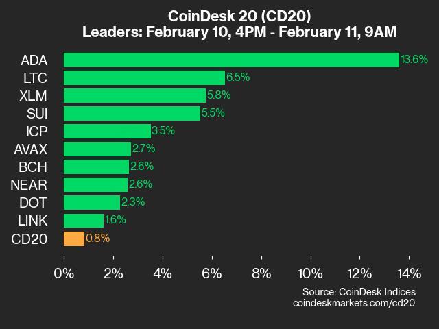 CoinDesk 20 Performance Update: Cardano (ADA) Jumps 13.6%, Leading Index Higher - Today news