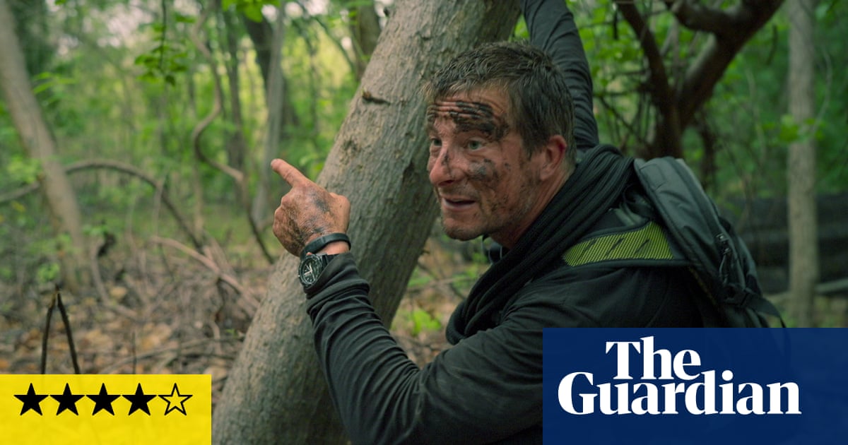 Celebrity Bear Hunt review – the most fun jungle reality show in decades - Today news