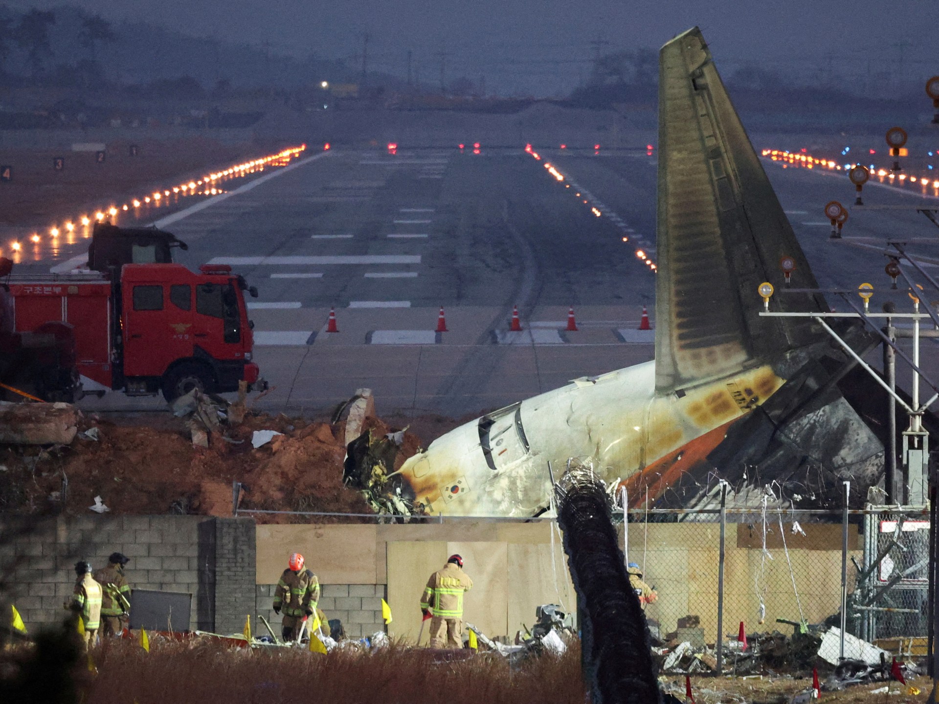 S Korea orders airports to install bird detection cameras after air crash - Today news