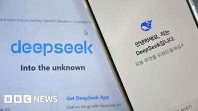 DeepSeek 'shared user data' with TikTok owner ByteDance - Today news