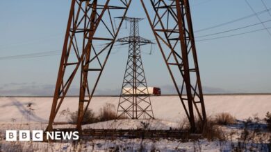 Baltic states begin historic switch away from Russian power grid - Today news