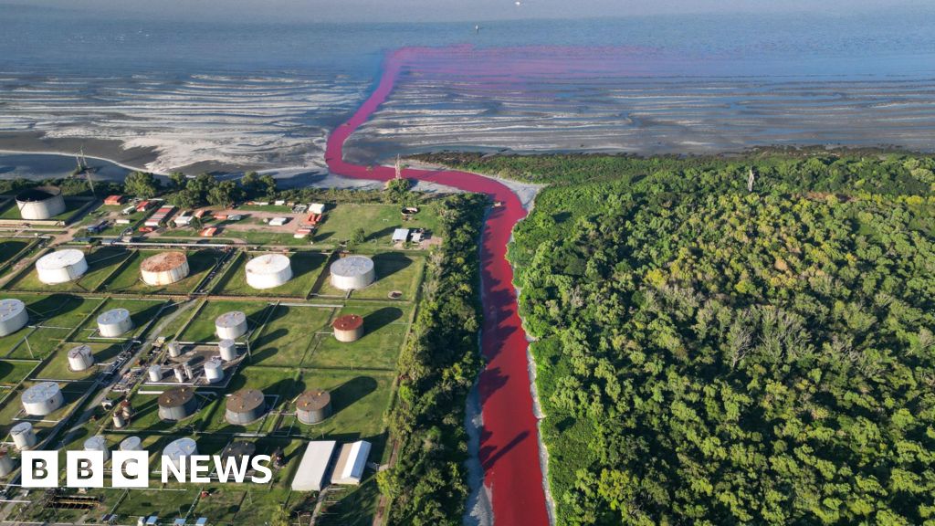 Watch: Argentina canal turns bright red, alarming locals - Today news