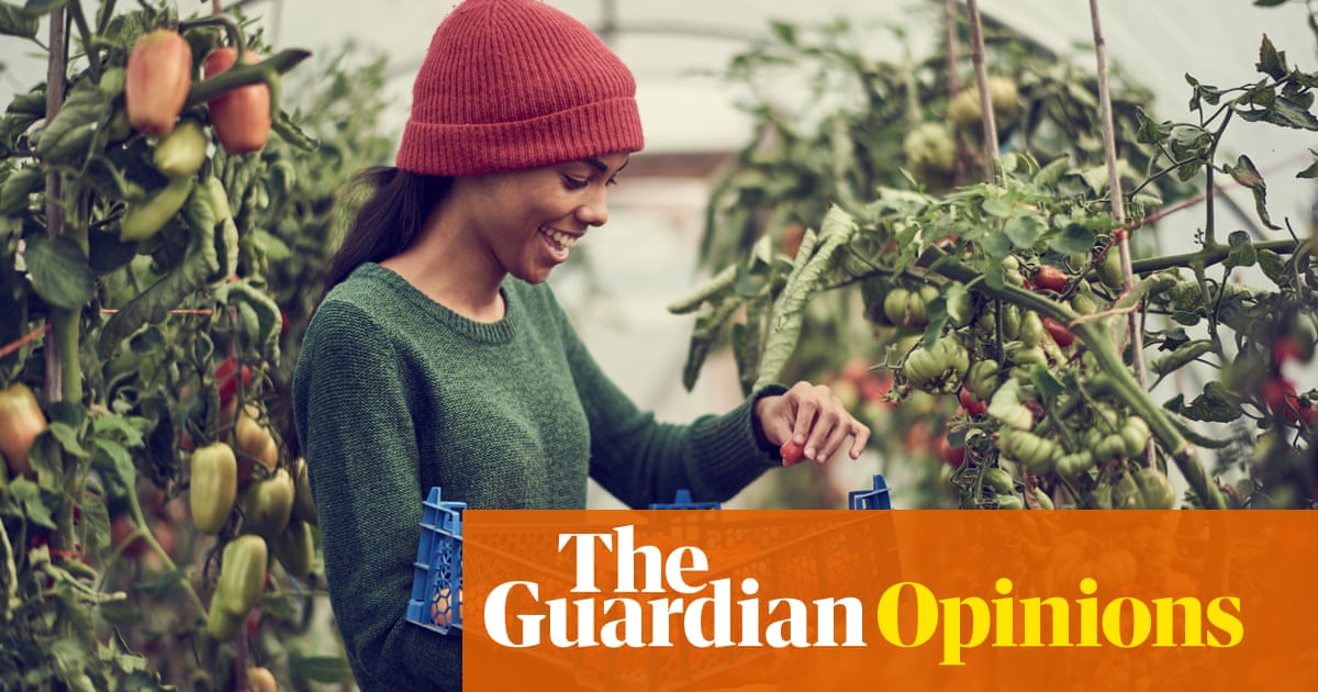 Why are Gen Zs deserting garden centres? Maybe they’re more into planting than shopping | Claire Ratinon - Today news