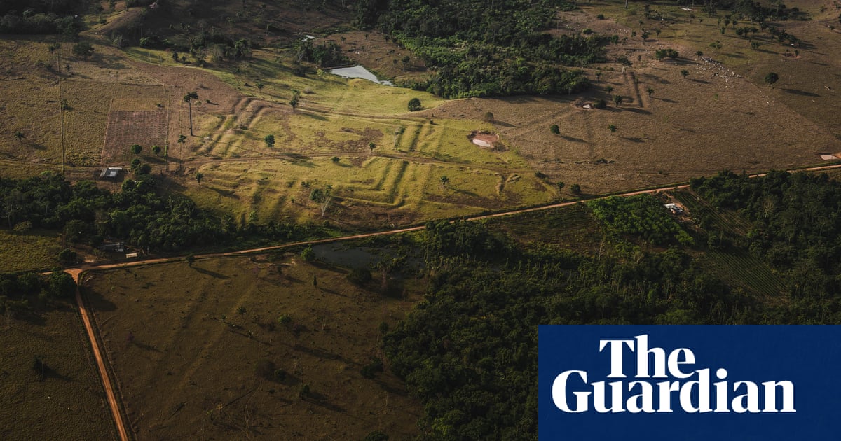 Lost cities of the Amazon: how science is revealing ancient garden towns hidden in the rainforest - Today news