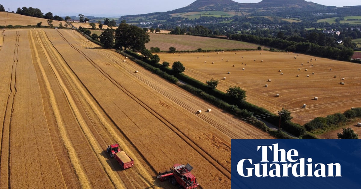 Urgent action needed to ensure UK food security, report warns - Today news