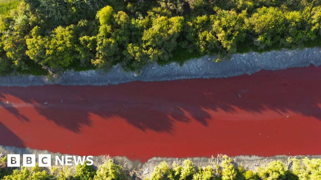 Argentina canal turns bright red, alarming residents - Today news