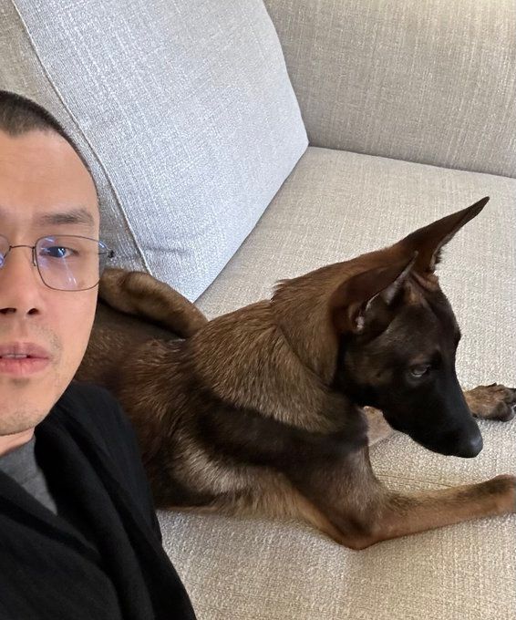 CZ's Dog Made a Killing for One Memecoin Creator and Murdered Everyone Else  - Today news