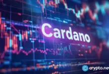 Cardano rebounds after spot ETF news, a new crypto looks to challenge it - Today news