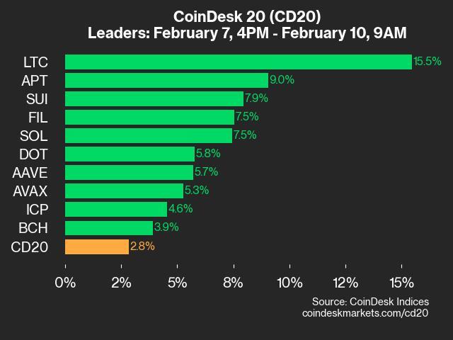 CoinDesk 20 Performance Update: LTC Surges 15.5% as Index Trades Higher From Friday - Today news