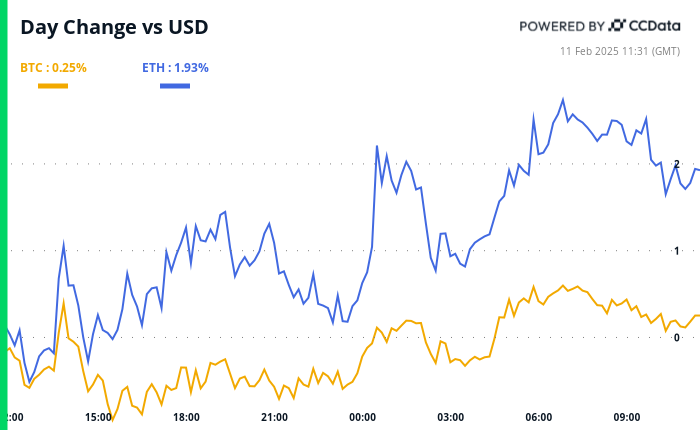 Crypto Daybook Americas: ADA Rallies, Bitcoin Looks to Powell's Testimony in Congress - Today news