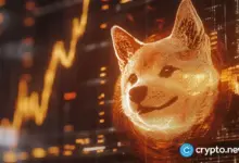 Shiba Inu and new underdog coin to dominate in 2025 - Today news