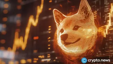 Shiba Inu and new underdog coin to dominate in 2025 - Today news