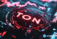 What is Toncoin? Guide to History, Uses, and Future Trends - Today news