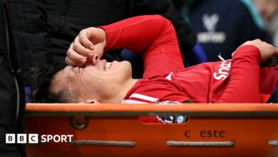 Cruciate knee ligament injury for Man Utd's Martinez - Today news