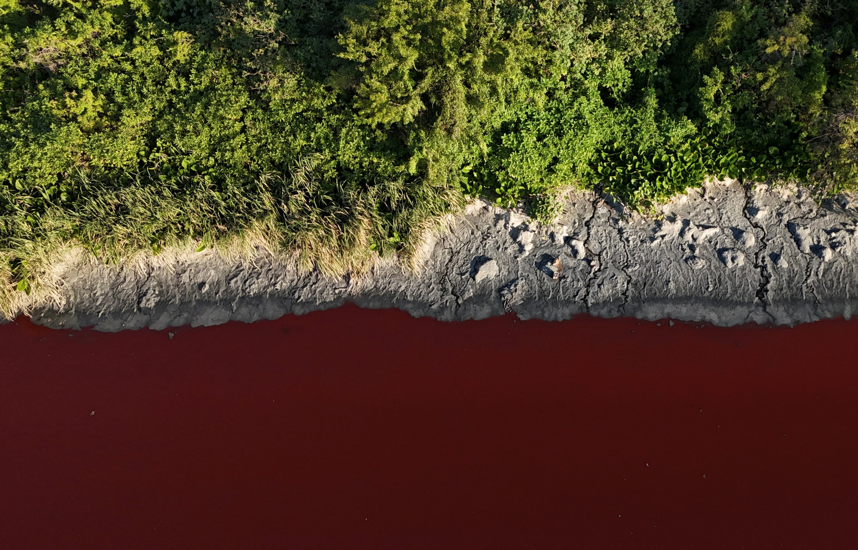 River in Argentina turns blood red - Today news