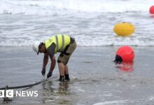 Subsea fibre cables can 'listen out' for sabotage - Today news