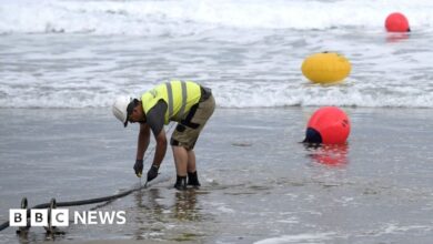 Subsea fibre cables can 'listen out' for sabotage - Today news