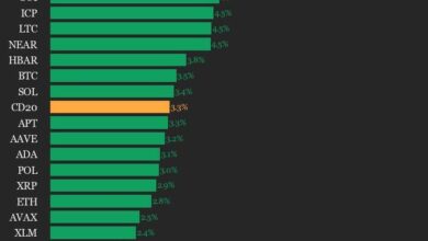 CoinDesk 20 Performance Update: Index Gains 3.3% as All Twenty Assets Move Higher - Today news