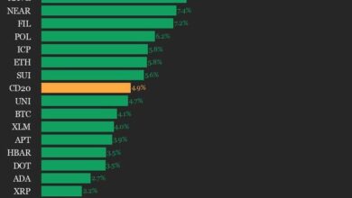 CoinDesk 20 Performance Update: Index Gains 4.9% as All Assets Trade Higher - Today news