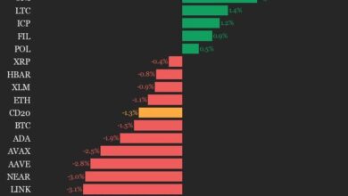 CoinDesk 20 Performance Update: Solana (SOL) Falls 3.9%, Leading Index Lower - Today news