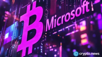 Crypto users at risk as Microsoft uncovers StilachiRAT malware stealing wallet data - Today news