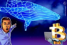 Spot Bitcoin ETF inflows fall, but BTC whale activity points to bull market acceleration