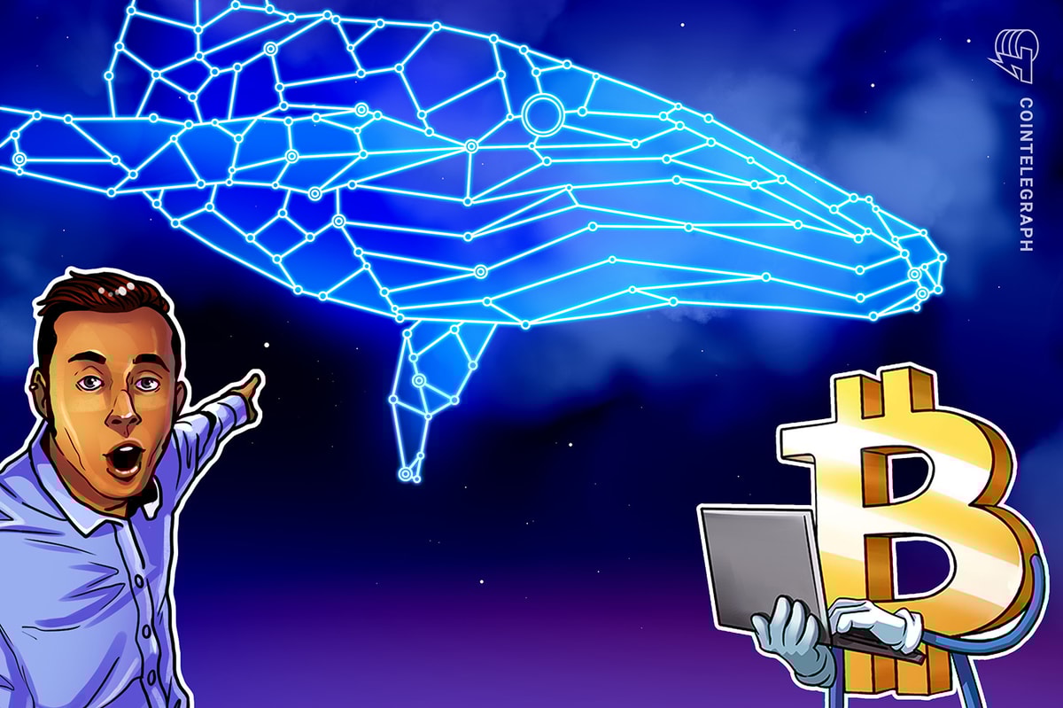 Spot Bitcoin ETF inflows fall, however BTC whale exercise factors to bull market acceleration Spot Bitcoin ETF inflows fall, but BTC whale activity points to bull market acceleration