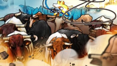 Bitcoin price hit a new all-time high and data shows BTC bulls aren’t done yet