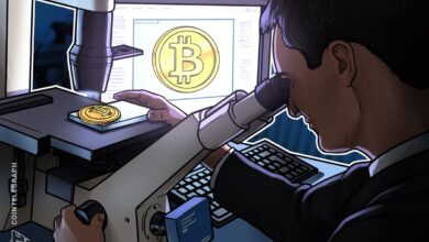 Bitcoin analyst says BTC price could hit $330K in 2025