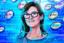 Crypto ETFs won’t lose ‘their luster’ as wallet adoption grows — Cathie Wood