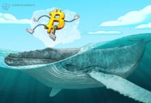 Bitcoin whales keep buying as BTC price dip targets include $94K