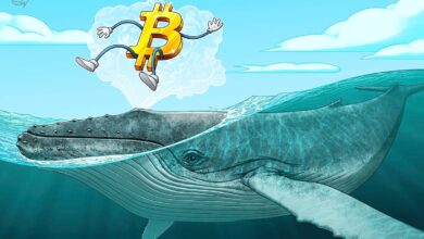 Bitcoin whales keep buying as BTC price dip targets include $94K