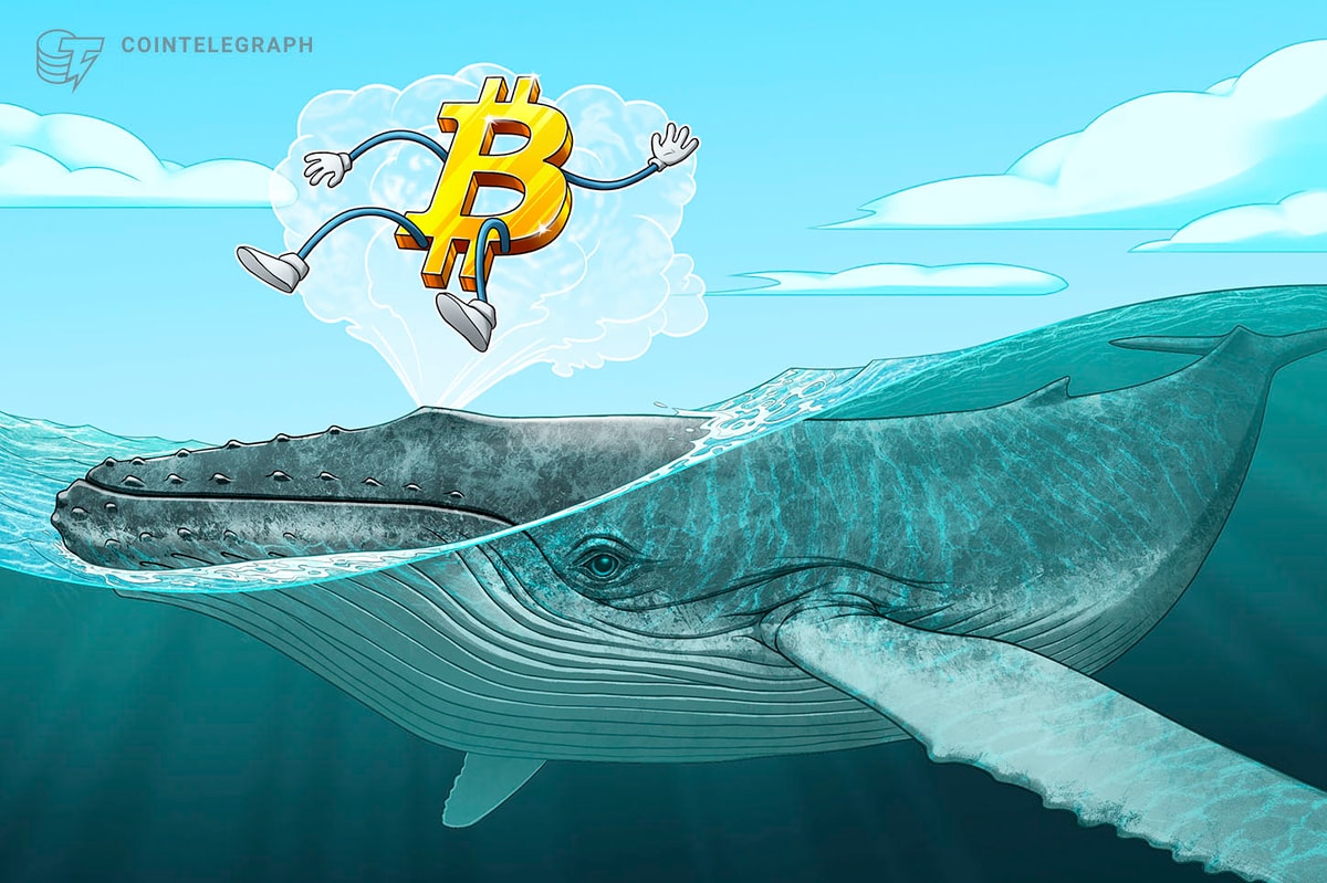 Bitcoin whales preserve shopping for as BTC worth dip targets embody $94K Bitcoin whales keep buying as BTC price dip targets include $94K