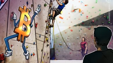 Bitcoin hits new highs in the absence of ‘unhealthy’ leverage use — Will the rally continue?