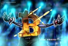 Ex-UFC champ Conor McGregor touts Irish Bitcoin reserve in presidential bid