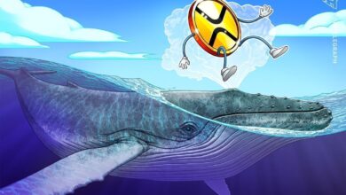 XRP whale flow and technical setup hint at 40% price boom next