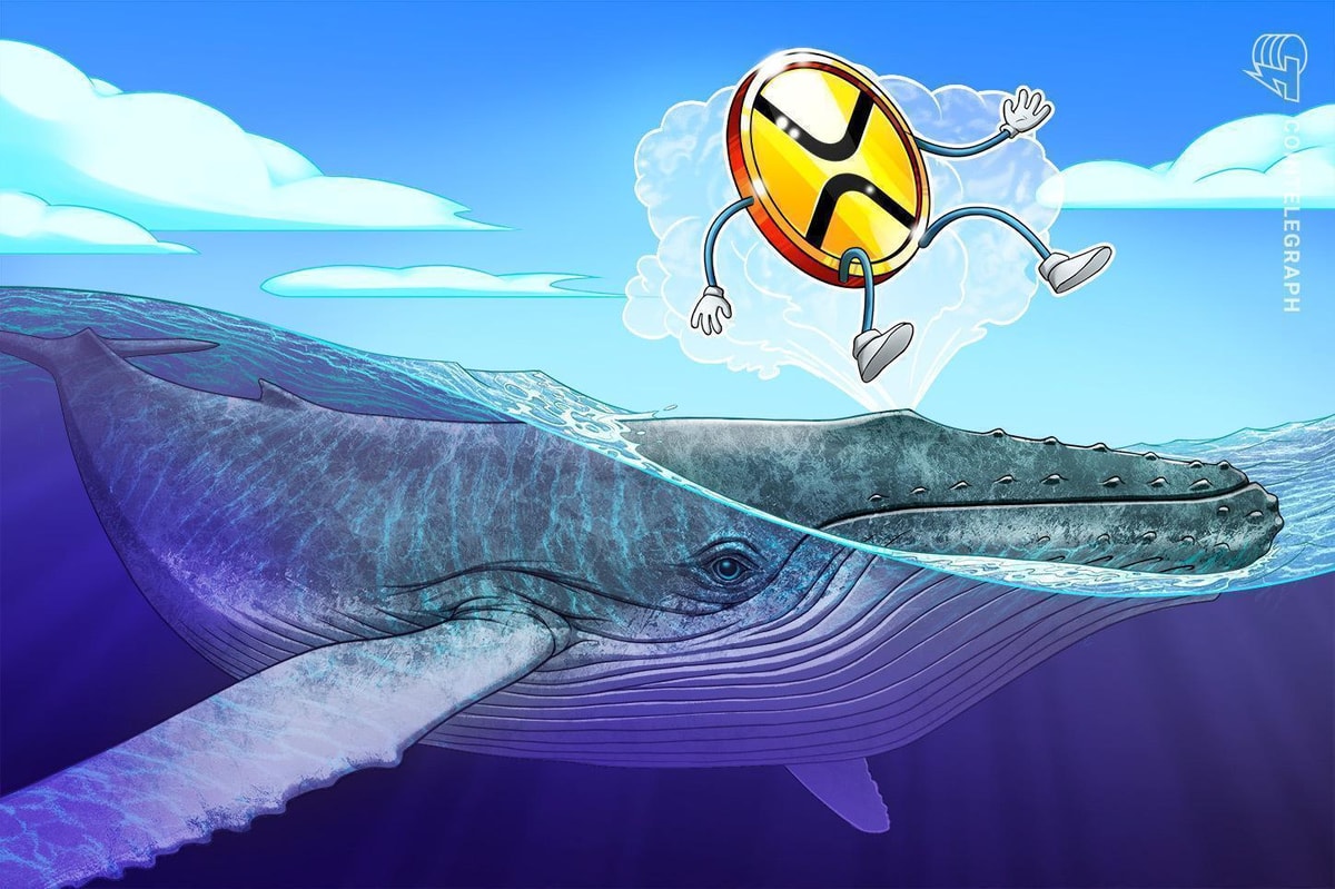 XRP whale circulate and technical setup trace at 40% worth increase subsequent XRP whale flow and technical setup hint at 40% price boom next